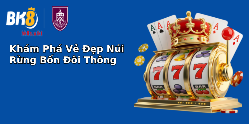 Khám Phá Vẻ Đẹp Núi Rừng Bốn Đôi Thông Khám Phá Vẻ Đẹp Núi Rừng Bốn Đôi Thông